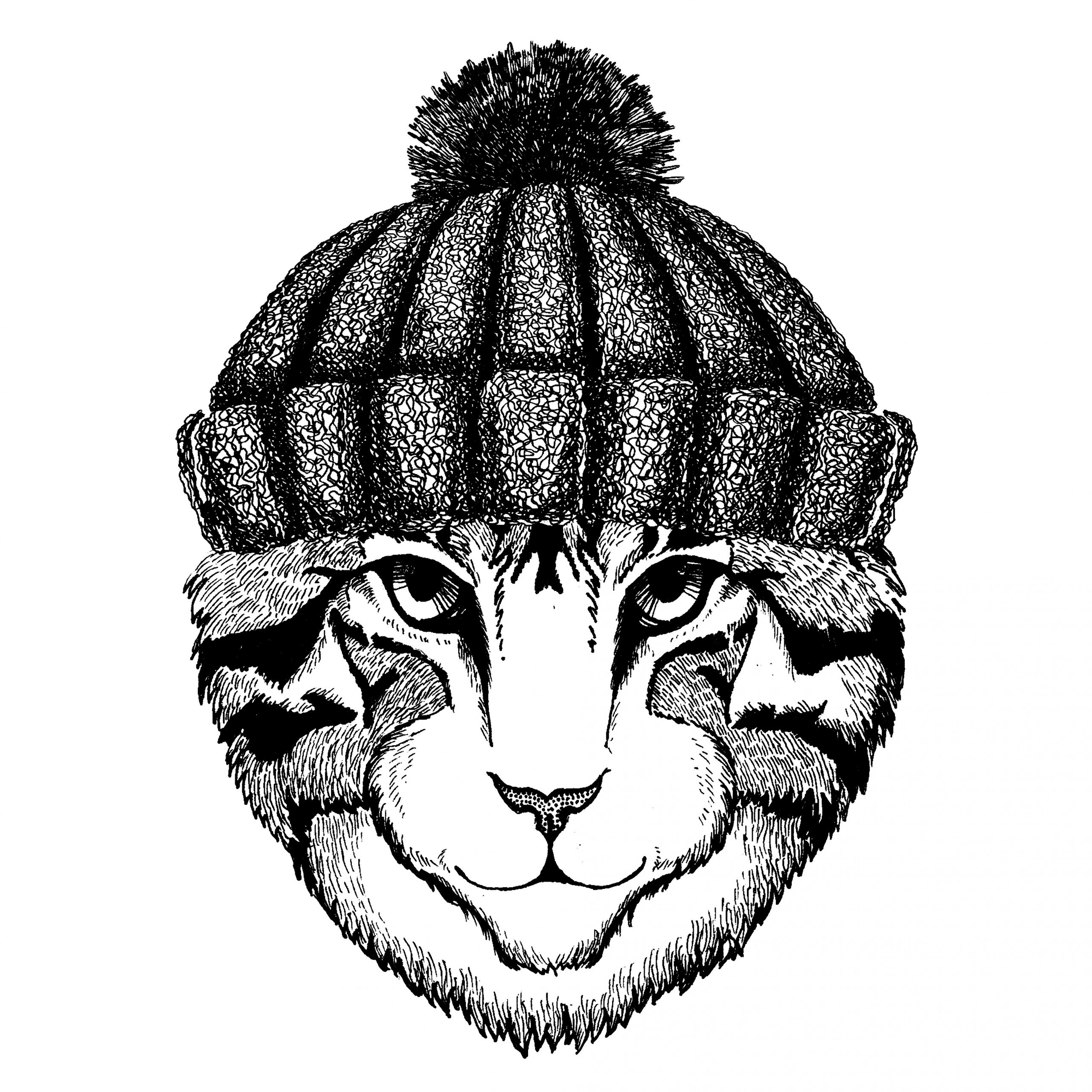 Image of domestic cat Hand drawn illustration for tattoo, emblem, badge, logo, patch, t-shirt